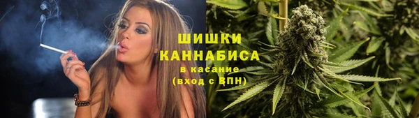 ПСИЛОЦИБИНОВЫЕ ГРИБЫ Алексин