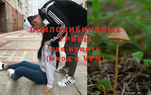 ПСИЛОЦИБИНОВЫЕ ГРИБЫ Алексин