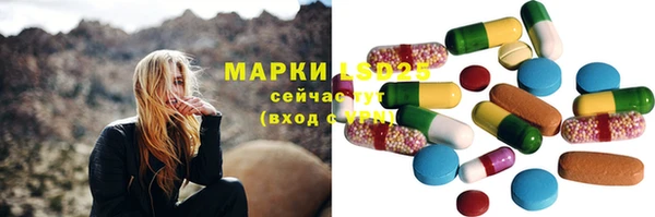 ПСИЛОЦИБИНОВЫЕ ГРИБЫ Алексин