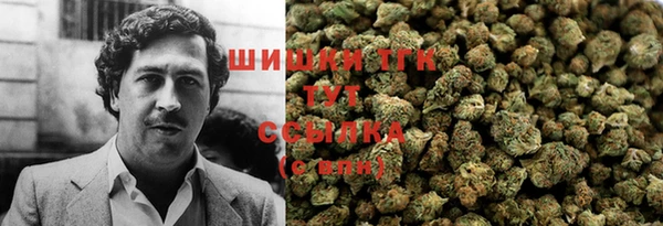 ПСИЛОЦИБИНОВЫЕ ГРИБЫ Алексин